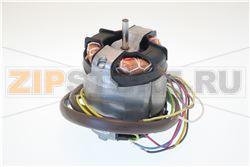 Motor 6 terminal 