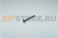 TOR.CHAPA CILI.DIN7971  8X3/4