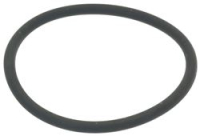 O-RING V 6300