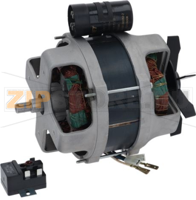 MOTOR CL55D 220/60/1 