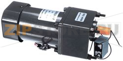 MARINATOR MOTOR 