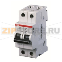 Выключатель автоматический двухполюсный, S202P K0.5 ABB 2CDS282001R0157