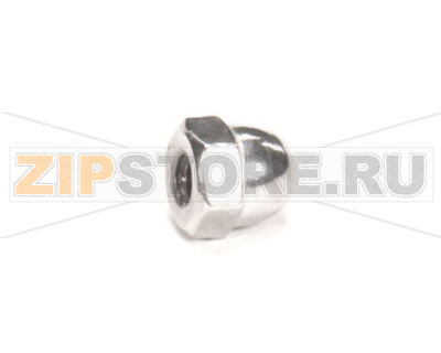 NUT 10-24 ACORN SS F 