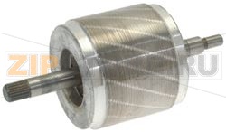 ROTORE MOTORIDUTTORE 