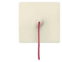 DELTA I-SYSTEM ЭЛЕКТРИЧЕСКИЙ БЕЛЫЙ ВЫКЛЮЧАТЕЛЬ 1 КЛАВИША ВЕРЕВОЧНЫМ ПРИВОДОМ 55X55MM Siemens 5TG6287