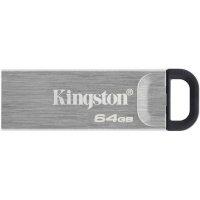 Накопитель USB 64 Гб Kingston DTKN/64GB