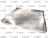 GREASE PAN ASSEMBLY; 26-3/4X 31-1/