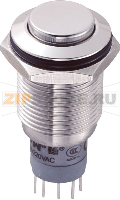 Кнопка антивандальная 250 В/AC, 3 А, 1 x вкл/вкл, без фиксации, IP67, 1 шт TRU Components LAS2GQH-11/S/P 