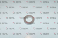 ANELLO PARACOLPO     PIATTO MNT 300