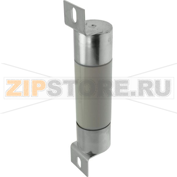 Предохранитель двигателя, 100 A, AC 3.6 kV, 50 кА, 51x192 мм, BS Eaton 3.6KV 100AMP 2" '6' MOTORS 