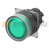 Переключатель кнопочный Omron A22NZ-BGM-TGA
