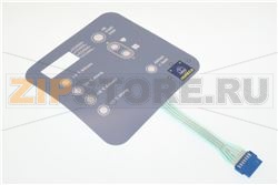 SERIGRAFIA FRONTALE HS5T 