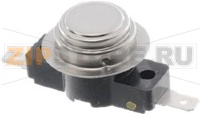 SAFETY THERMOSTAT 150° BOSCH 00600158