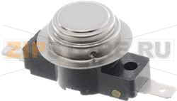 SAFETY THERMOSTAT 150° BOSCH 00600158 