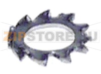 EXTERNAL TOOTHED WASHER M3 - 10 PCS.