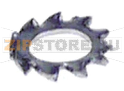 EXTERNAL TOOTHED WASHER M3 - 10 PCS. 