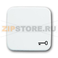 Клавиша выключателя/переключателя/кнопки с символом "Ключ" ABB 2CKA001731A0959