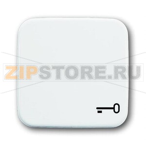 Клавиша выключателя/переключателя/кнопки с символом "Ключ" ABB 2CKA001731A0959 