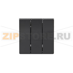 Клавиша для трехклавишных выключателей/переключателей/кнопок, глухая, антрацитовая ABB 2TKA000514G1 