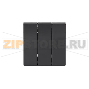 Клавиша для трехклавишных выключателей/переключателей/кнопок, глухая, антрацитовая ABB 2TKA000514G1 