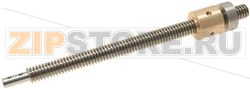 LIFTING SCREW ASSEMBLY 