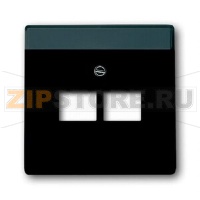 Накладка для двухпостовой розетки с полем для надписи, чёрная ABB 2CKA001710A3911