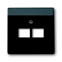 Накладка для двухпостовой розетки с полем для надписи, чёрная ABB 2CKA001710A3911
