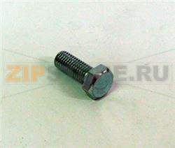 SCREW [C] TE 